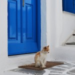Bienvenidos a Mykonos