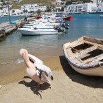 Informaciones útiles para viajar a Mykonos